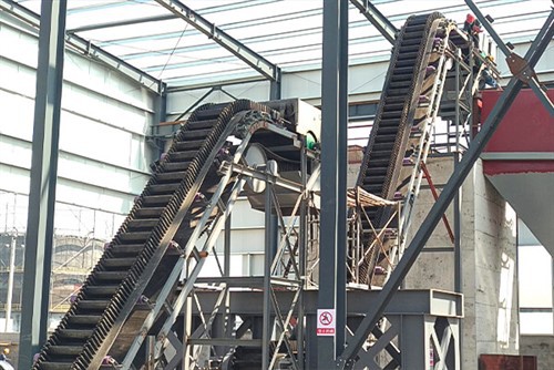 Ċineg taċ-ċinturin tal-ħajt tal-ġenb